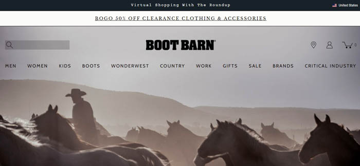 Boots Websites